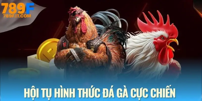 Tham khảo các hình thức đá gà được yêu thích nhất
