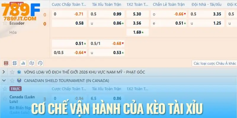Cơ chế hoạt động của kèo tài xỉu trong cá độ bóng đá